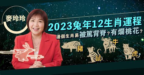 2023風水佈局麥玲玲|兔年桃花運麥玲玲教催旺大法2023 想脫單種何植物？。